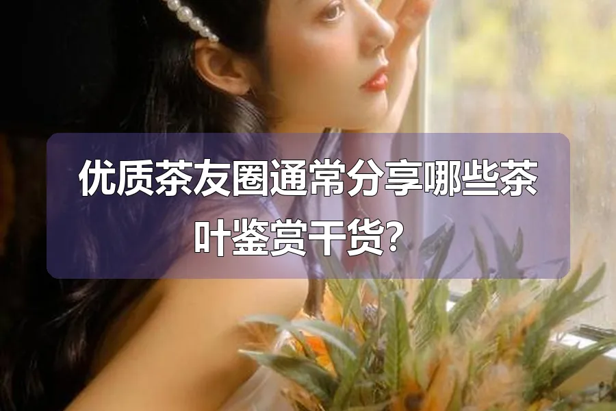 优质茶友圈通常分享哪些茶叶鉴赏干货？